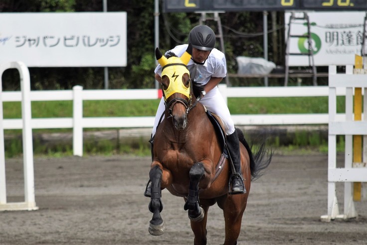 令和2年度初走行会スクーリングジャンプ最終日 セリで買い手がいない馬を1頭でも多く救い 競走馬デビューへ 野口 佳槻 株式会社 馬事学院 代表取締役 06 21 投稿 クラウドファンディング Readyfor レディーフォー