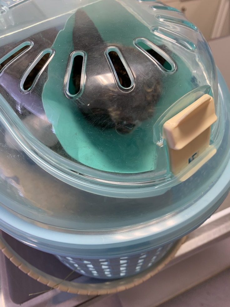 病院へ向かう前。頑張ろうね。