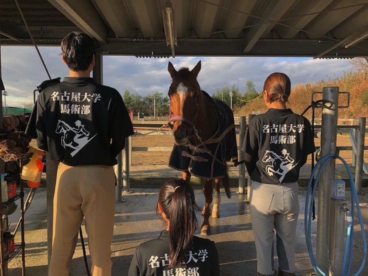 名古屋大学馬術部の挑戦 存続の危機を乗り越える 名古屋大学馬術部 10 28 公開 クラウドファンディング Readyfor レディーフォー