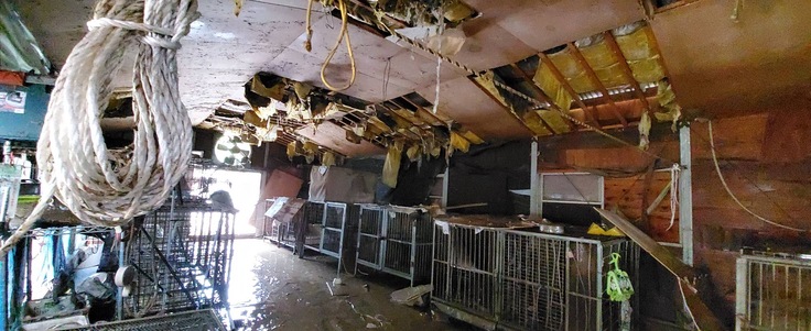 被災により傷んだケージ