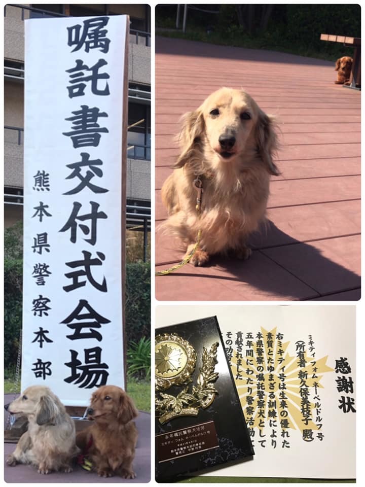 新着情報 復旧支援 被災した熊本の災害救助犬 警察犬訓練拠点を再興 坂本 隆之 クラウドファンディング Readyfor