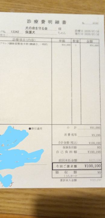 捨犬 カント君 の足の手術をして元気に走らせたい 日比英子犬の命を守る会 わんわんライフ 代表 09 14 公開 クラウドファンディング Readyfor