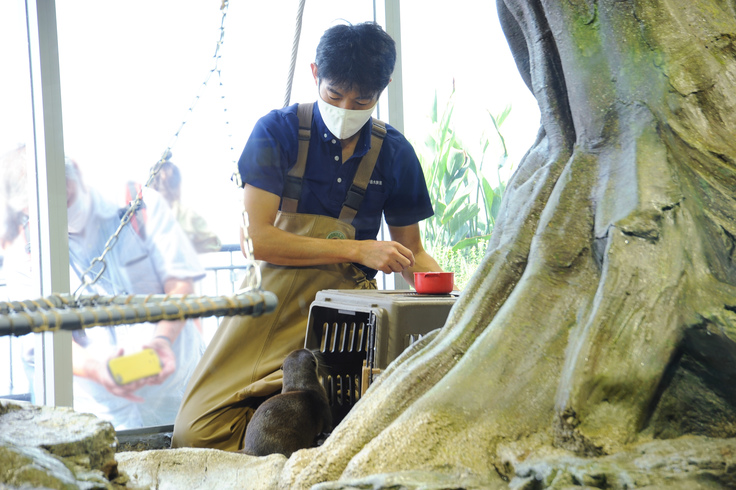 開催 えのすいトリーター座談会 おしえてえのすいトリーター 新江ノ島水族館 あなたと生き物を繋ぐ えのすいファンディング 新江ノ島水族館 10 06 投稿 クラウドファンディング Readyfor レディーフォー