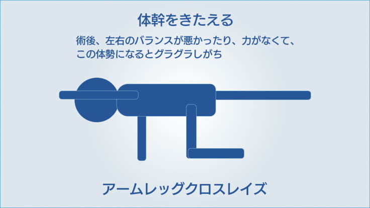 アームレッグクロスレイズ