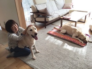 引退犬と引退犬ボランティア コロナで街頭募金やイベントが中止 盲導犬と引退犬の医療費にご支援を 公益財団法人 関西盲導犬協会 12 05 投稿 クラウドファンディング Readyfor