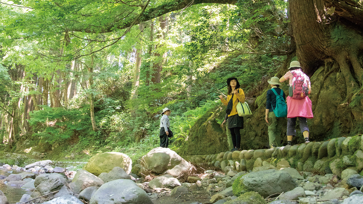 アーシングツアーの様子②