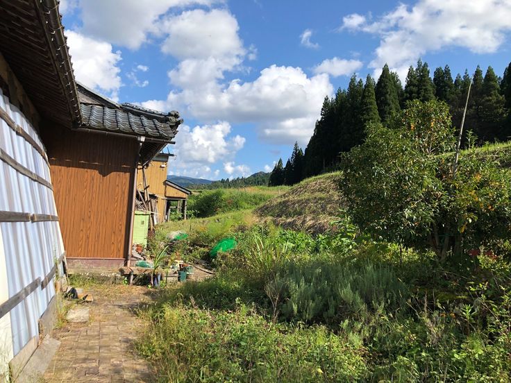 いやしの里いけだ　改修住宅②