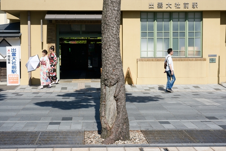 出雲大社前、神門通りに残された松根油採取跡
