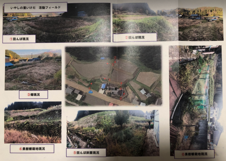 活動フィールド