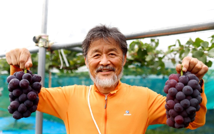 2020年のピオーネです