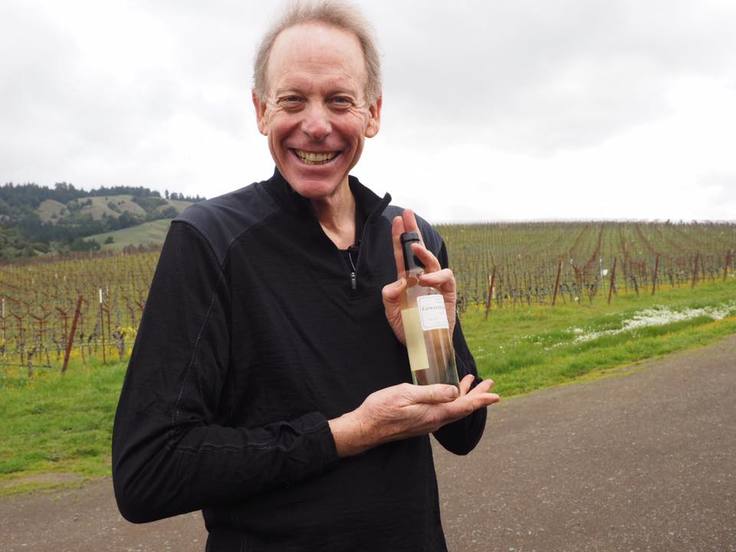 Navarra Vinyard, AndersonValley, CA, USA  