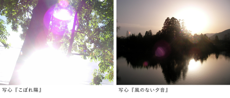 おーちゃんが撮影した写心（しゃしん）