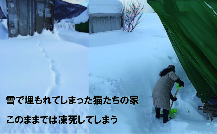 雪の中傘をさしている女性 低い精度で自動的に生成された説明