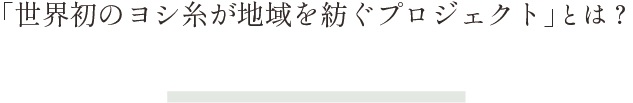 「世界初のヨシ糸が地域を紡ぐプロジェクト」とは？
