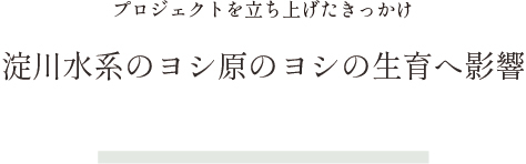プロジェクトを立ち上げたきっかけ淀川水系のヨシ原のヨシの生育へ影響