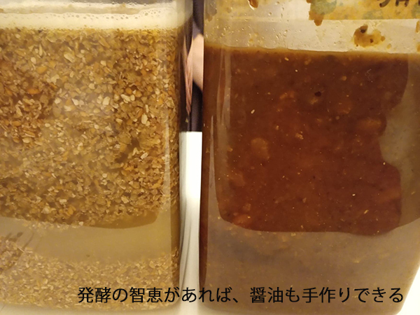 日本の発酵の智恵は素晴らしい！