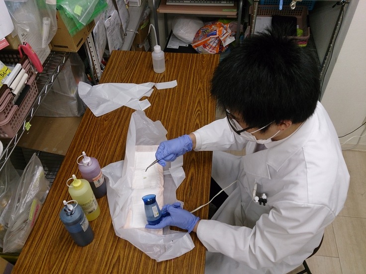 グラム染色をしている様子です