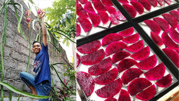 ドライフルーツ