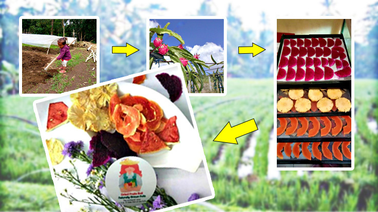 ドライフルーツ製造工程