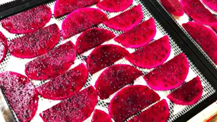 ドラゴンフルーツ