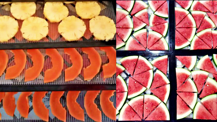 ドライフルーツ