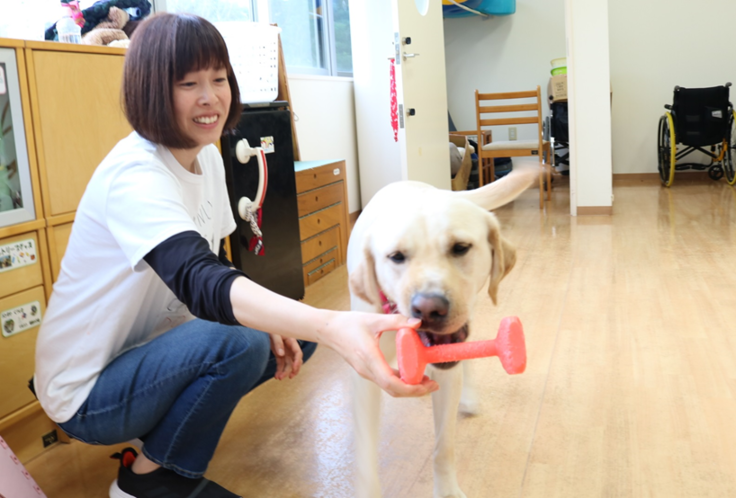 介助犬育成 お仕事紹介 訓練 介助犬育成支援プロジェクト 思いやりある交通社会への道をみなさまと Jaf 一般社団法人 日本自動車連盟 21 03 24 投稿 クラウドファンディング Readyfor