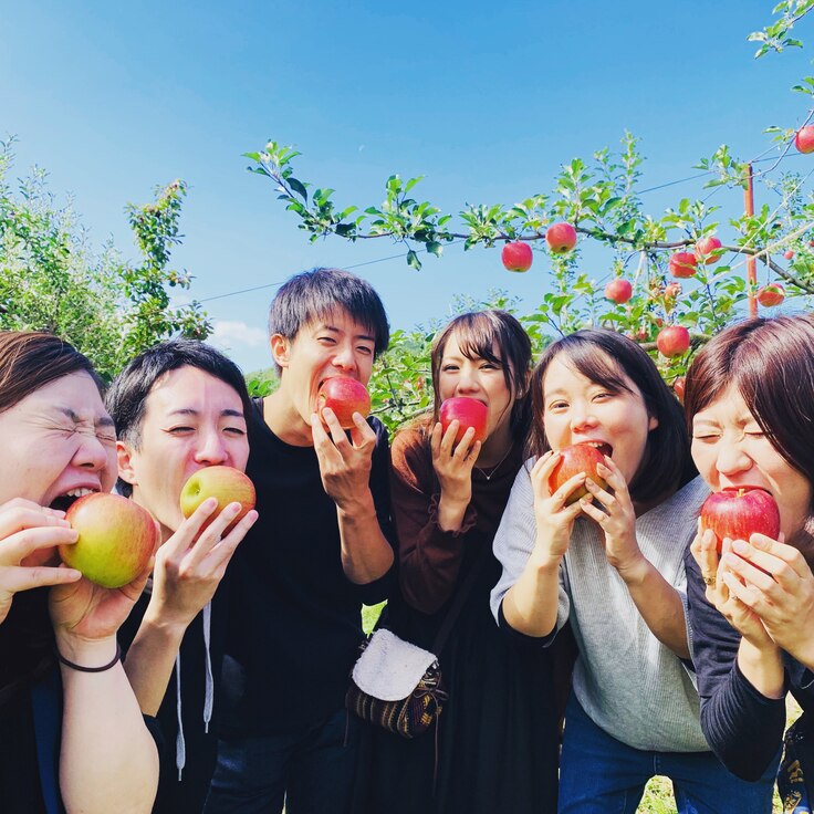 りんごイメージ