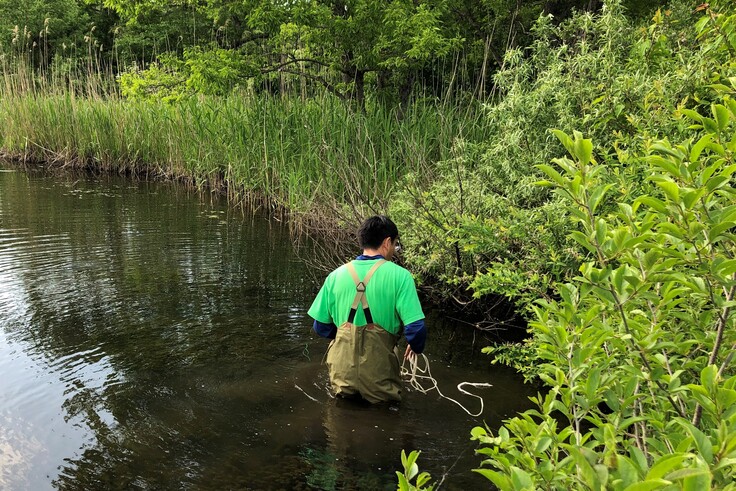 ウチダザリガニ防除のための籠掛