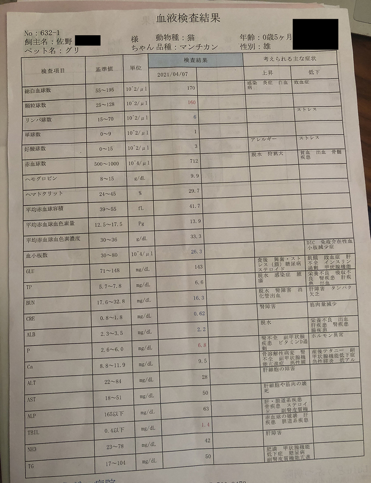 グリ　初診検査結果