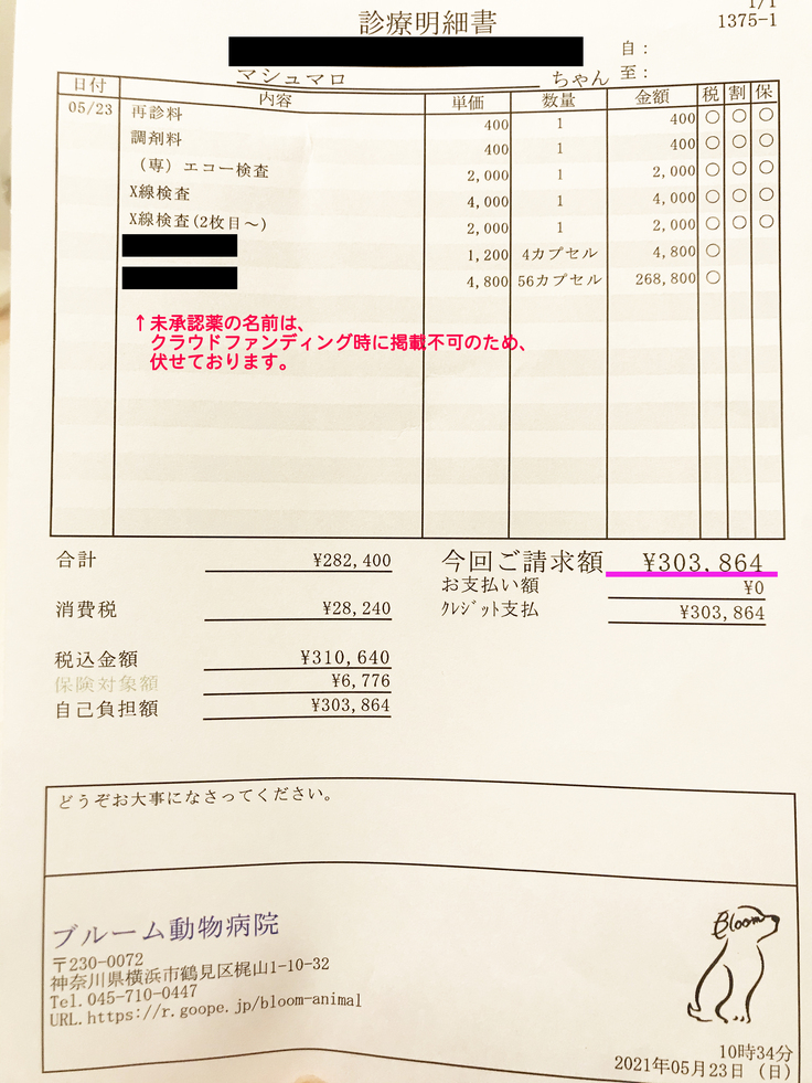 診断結果のご報告 投薬開始から53日目経過後のマシュについて 猫伝染性腹膜炎 Fip マシュの治療費のご支援ご協力のお願いです マシュの飼い主 21 05 23 投稿 クラウドファンディング Readyfor