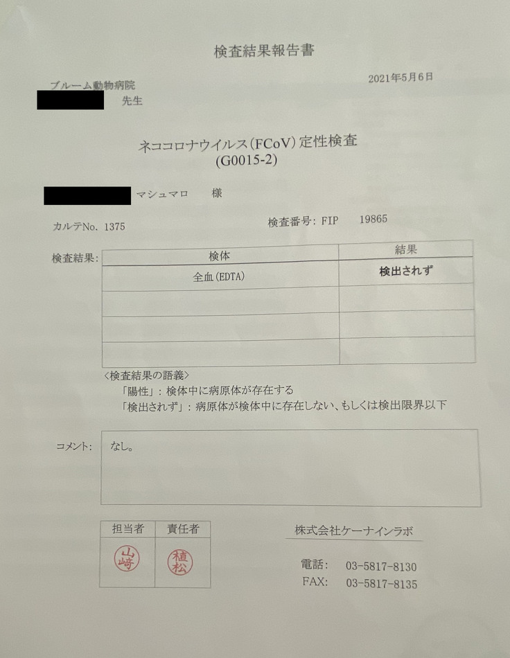 診断結果のご報告 投薬開始から53日目経過後のマシュについて 猫伝染性腹膜炎 Fip マシュの治療費のご支援ご協力のお願いです マシュの飼い主 21 05 23 投稿 クラウドファンディング Readyfor