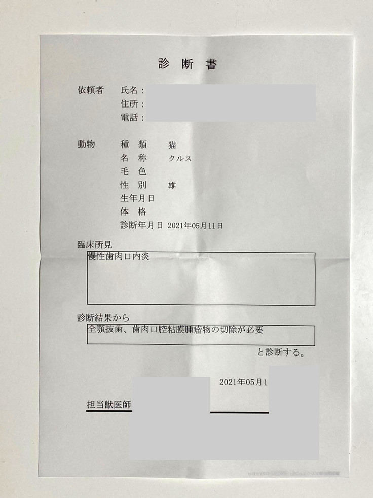 診断書
