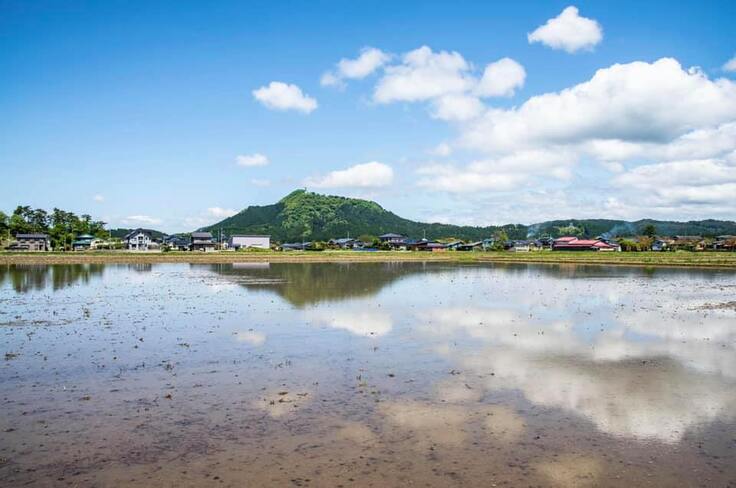 水をたたえた美しい田