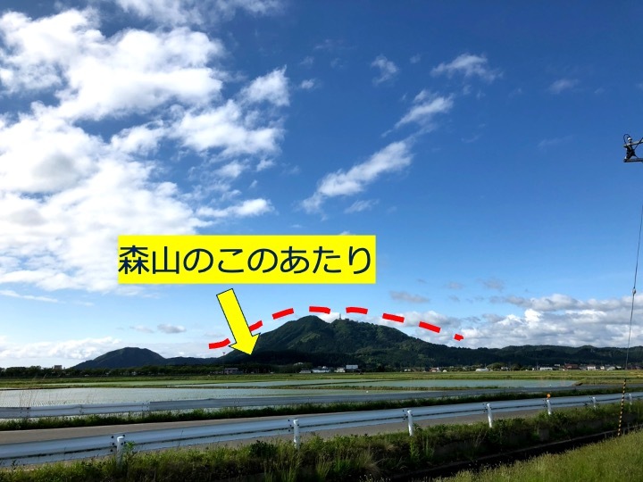 ツリーハウスは森山のふもとに。