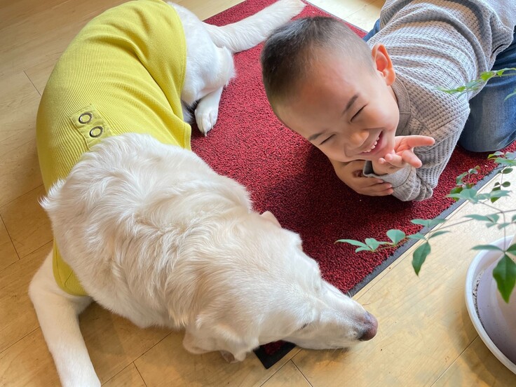 ワンちゃん写真