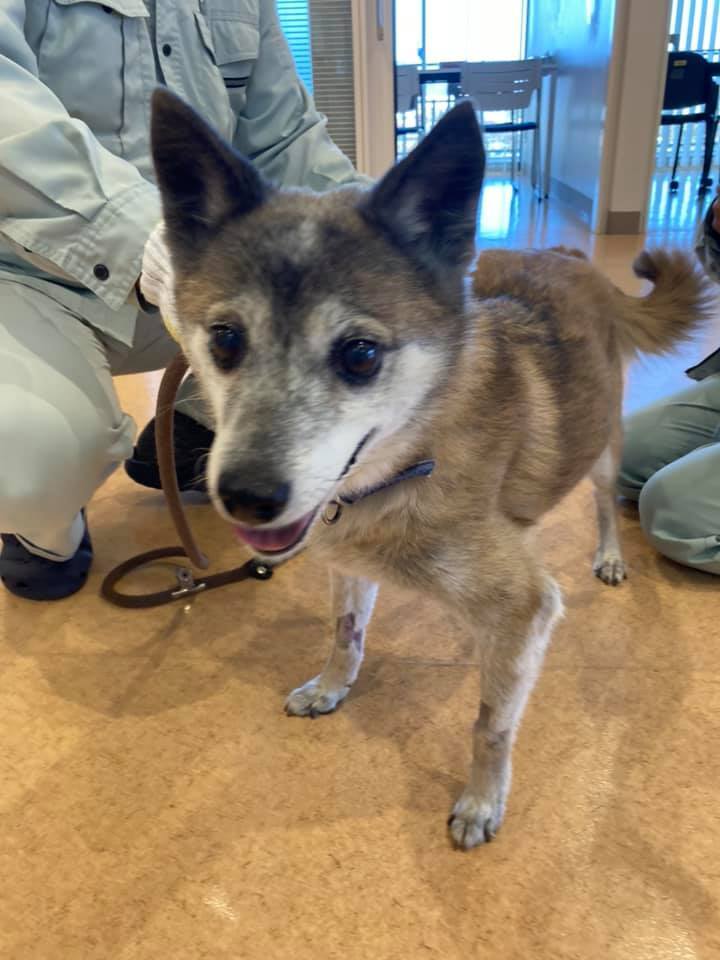 癌が予想以上のスピードで進行してた子