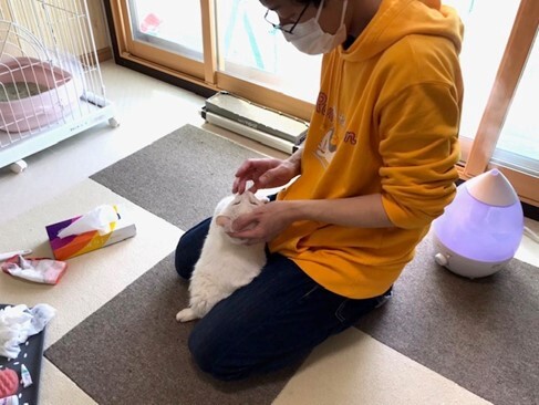 屋内, テーブル, 人, 座る が含まれている画像自動的に生成された説明