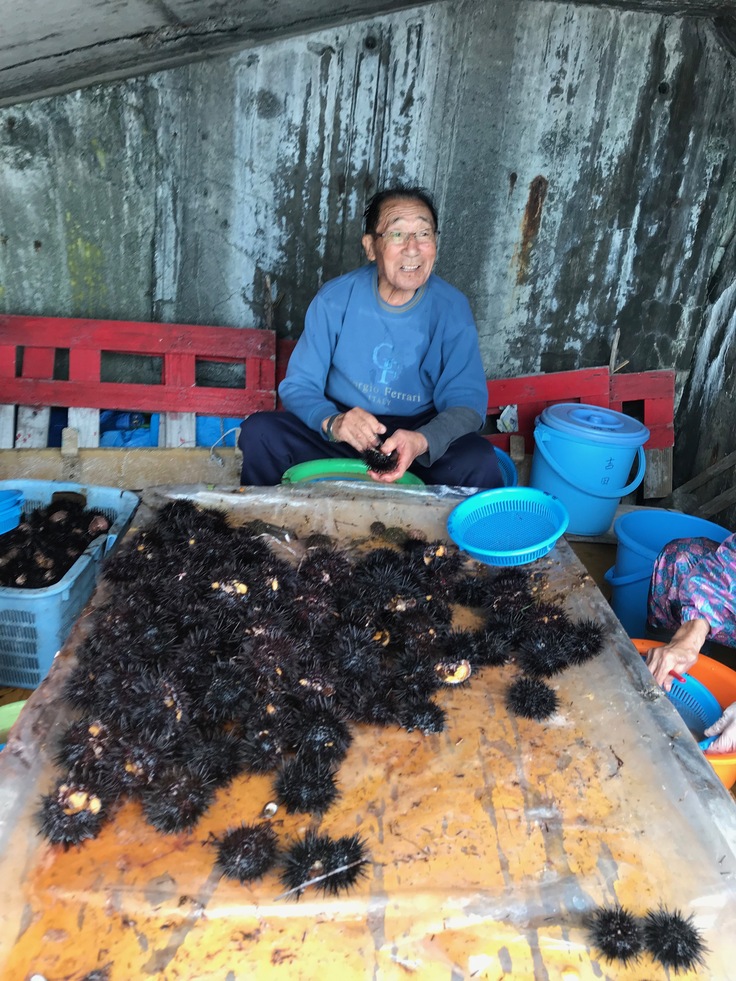 現役漁師95歳ウニ漁殻剥きの様子