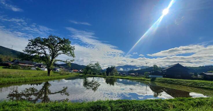 くわのみからの景色