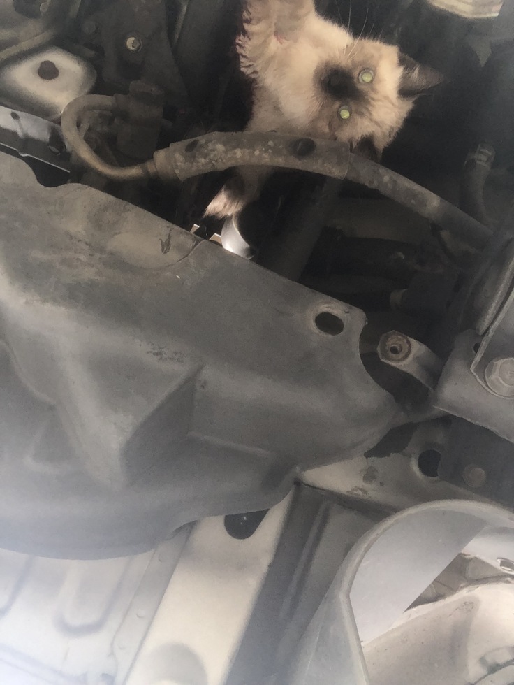 車底からの写真