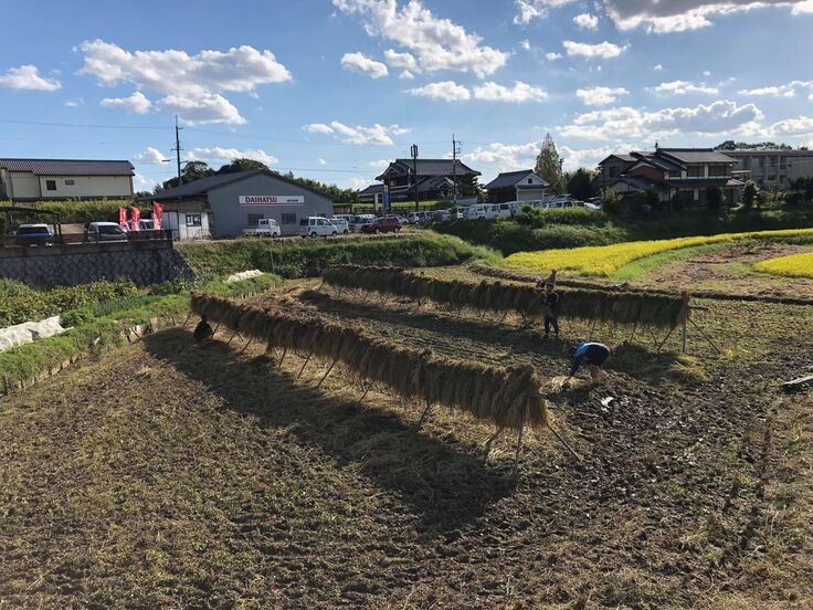 ひのひかりハザカケ