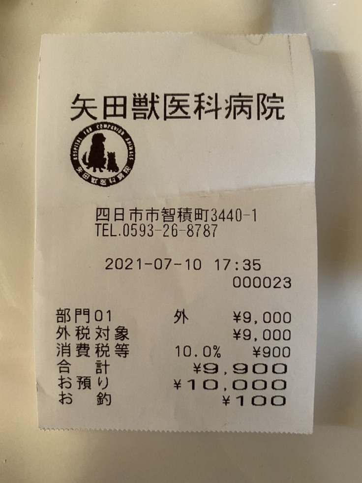 検査の為のレントゲン費用明細