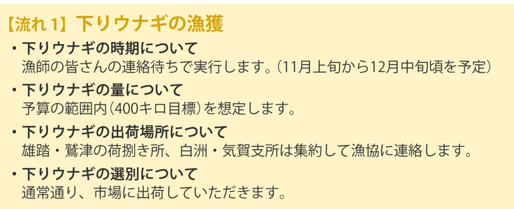 【流れ1】下りウナギの漁獲