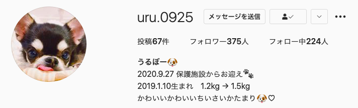 うるちゃんインスタグラム