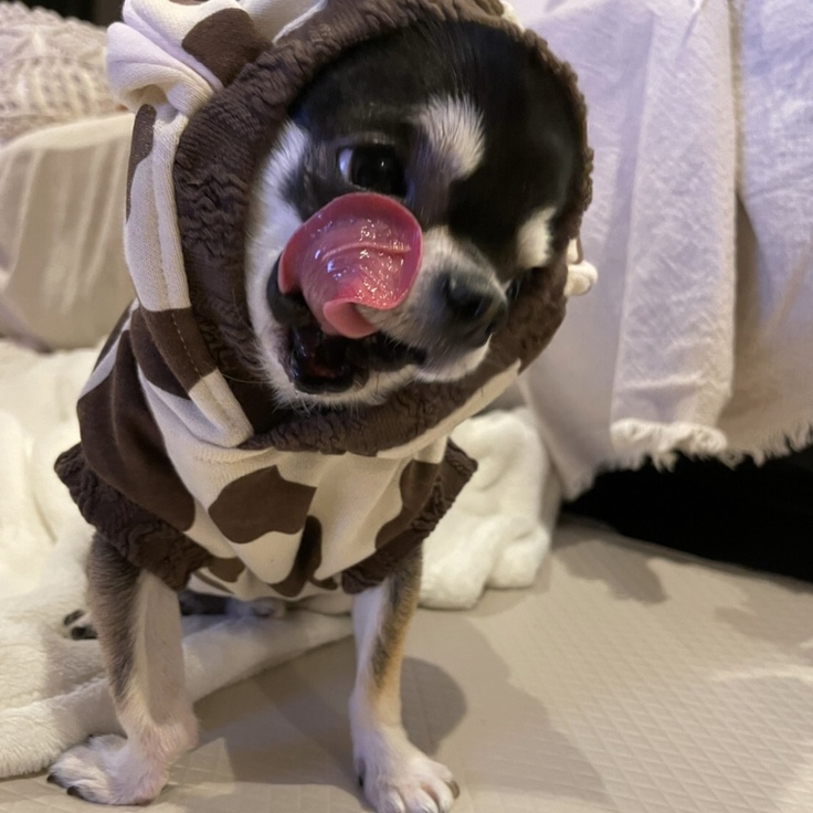 ぺろりんうるちゃん