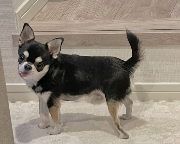 うるちゃんあんよわかりやすい写真