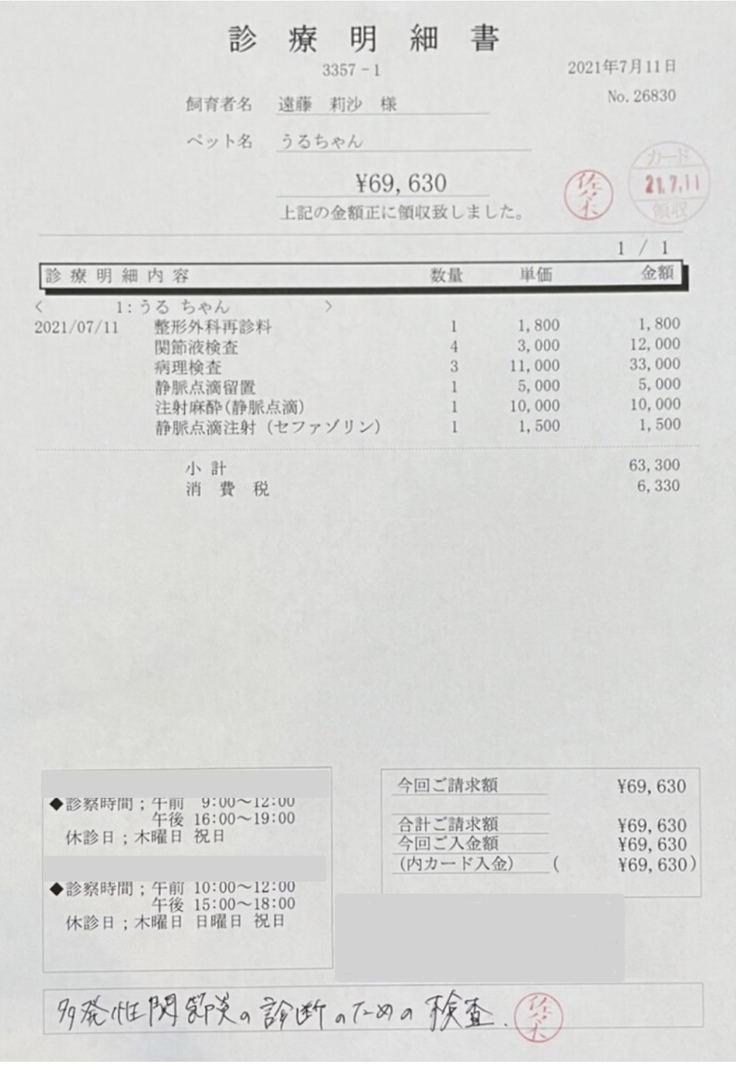 関節液検査明細