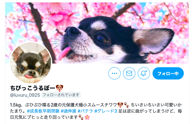 うるついったー