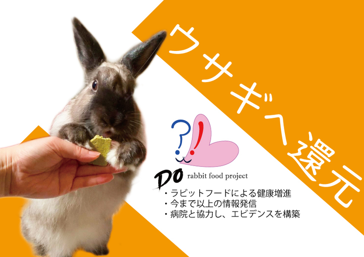 ウサギへの還元