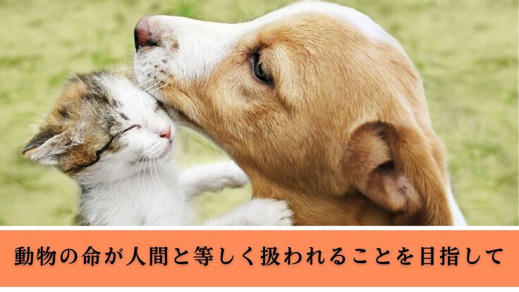 動物の命が人間と等しく扱われることを目指して